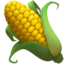 Кукурузный початок