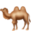 Двугорбый верблюд