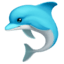Дельфин
