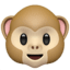 Морда обезьяны
