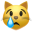 Плачущий кот
