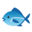 Эмодзи 🐟 Google