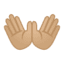 Эмодзи 👐🏼 Google