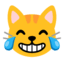 Эмодзи 😹 Google