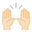Эмодзи 🙌🏻 Google