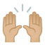 Эмодзи 🙌🏼 Google