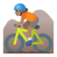Эмодзи 🚵🏽 Google