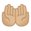 Эмодзи 🤲🏼 Google