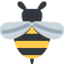 Эмодзи 🐝 Twitter.com