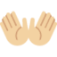 Эмодзи 👐🏼 Twitter.com