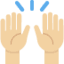 Эмодзи 🙌🏼 Twitter.com